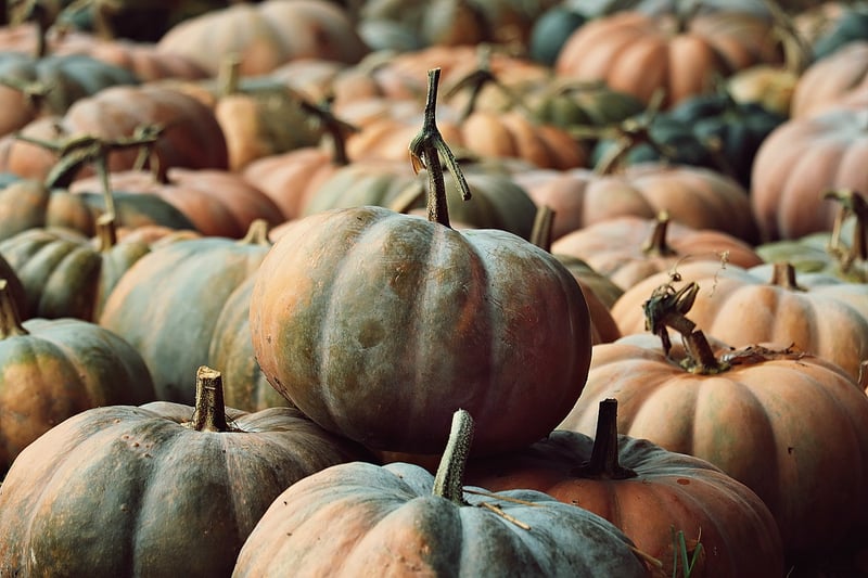 Pumpkin Fall Harvest